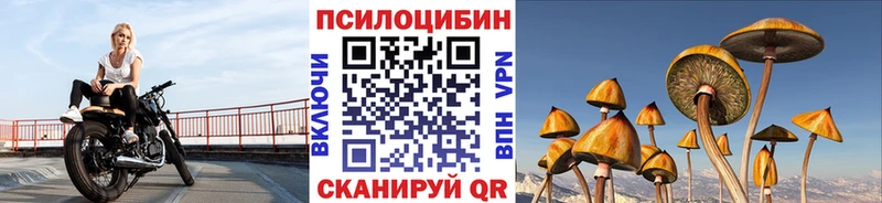 Псилоцибиновые грибы Psilocybine cubensis Дыгулыбгей