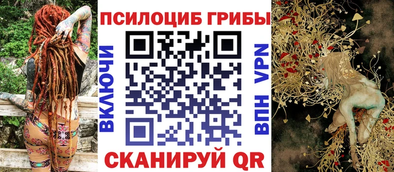 где купить   Дыгулыбгей  Псилоцибиновые грибы Psilocybine cubensis 